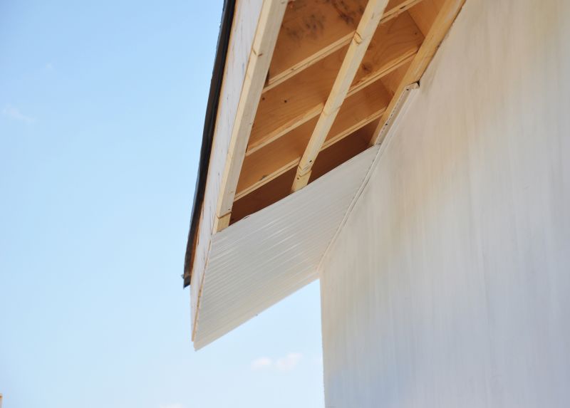 Garage Fascia Repair in Conroe, TX